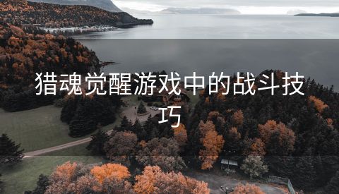 猎魂觉醒游戏中的战斗技巧