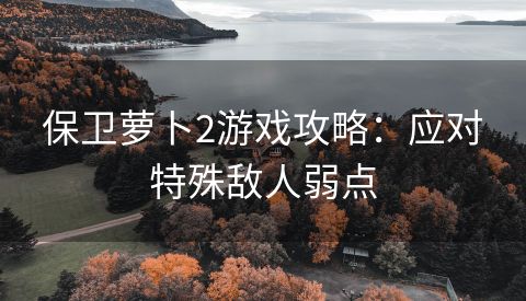 保卫萝卜2游戏攻略：应对特殊敌人弱点