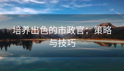 培养出色的市政官：策略与技巧