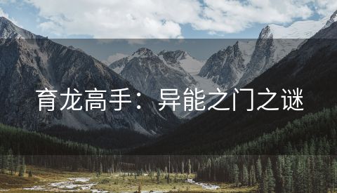 育龙高手：异能之门之谜