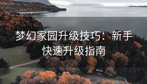 梦幻家园升级技巧：新手快速升级指南
