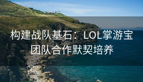 构建战队基石：LOL掌游宝团队合作默契培养