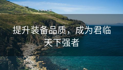 提升装备品质，成为君临天下强者