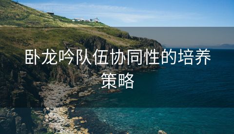 卧龙吟队伍协同性的培养策略