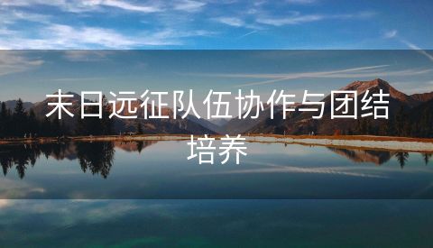 末日远征队伍协作与团结培养