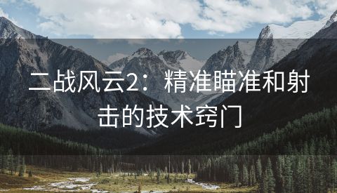 二战风云2：精准瞄准和射击的技术窍门