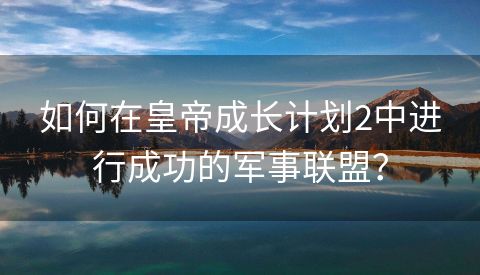 如何在皇帝成长计划2中进行成功的军事联盟？