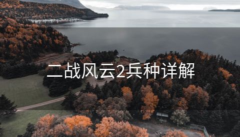 二战风云2兵种详解