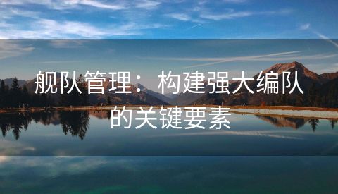 舰队管理：构建强大编队的关键要素