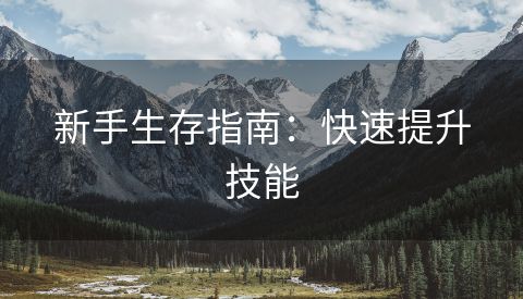 新手生存指南：快速提升技能