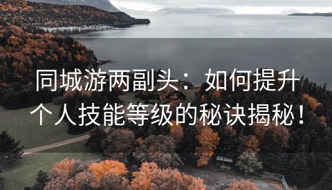 同城游两副头：如何提升个人技能等级的秘诀揭秘！