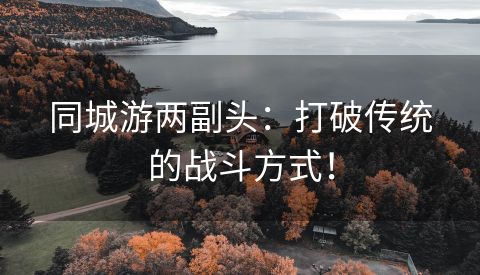 同城游两副头：打破传统的战斗方式！