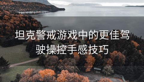 坦克警戒游戏中的更佳驾驶操控手感技巧