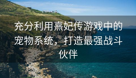 充分利用熹妃传游戏中的宠物系统，打造最强战斗伙伴