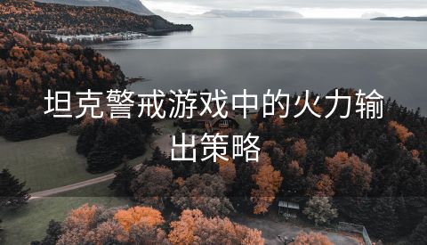 坦克警戒游戏中的火力输出策略