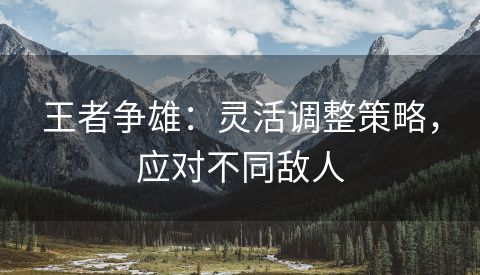 王者争雄：灵活调整策略，应对不同敌人