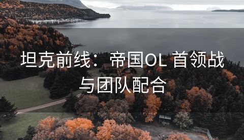 坦克前线：帝国OL 首领战与团队配合