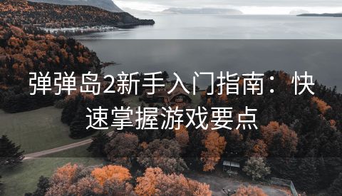 弹弹岛2新手入门指南：快速掌握游戏要点