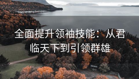 全面提升领袖技能：从君临天下到引领群雄