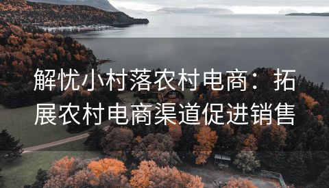 解忧小村落农村电商：拓展农村电商渠道促进销售