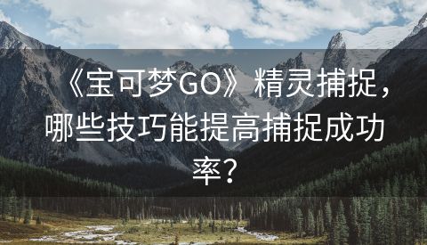 《宝可梦GO》精灵捕捉，哪些技巧能提高捕捉成功率？