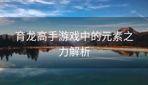 育龙高手游戏中的元素之力解析