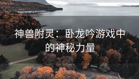 神兽附灵：卧龙吟游戏中的神秘力量