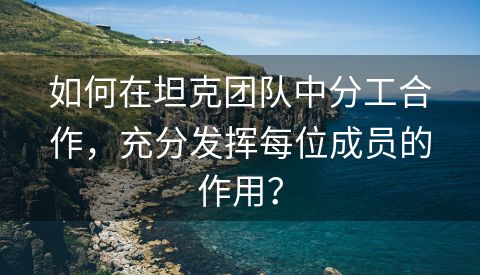 如何在坦克团队中分工合作，充分发挥每位成员的作用？