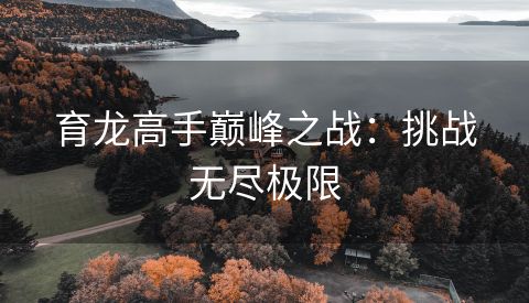育龙高手巅峰之战：挑战无尽极限