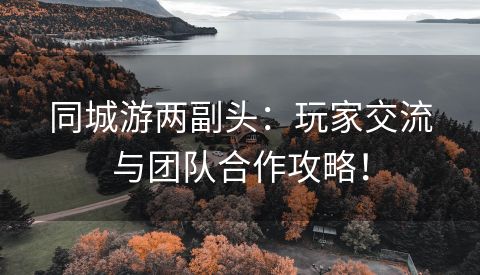 同城游两副头：玩家交流与团队合作攻略！