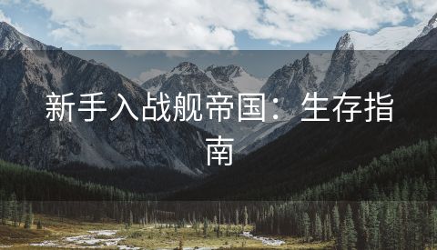 新手入战舰帝国：生存指南