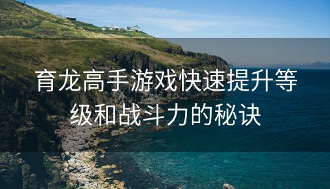 育龙高手游戏快速提升等级和战斗力的秘诀