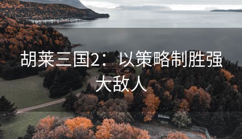 胡莱三国2：以策略制胜强大敌人