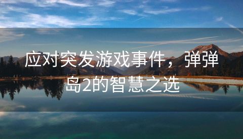 应对突发游戏事件，弹弹岛2的智慧之选