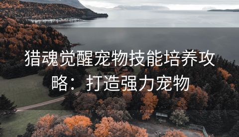 猎魂觉醒宠物技能培养攻略：打造强力宠物