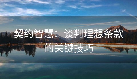 契约智慧：谈判理想条款的关键技巧