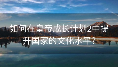 如何在皇帝成长计划2中提升国家的文化水平？