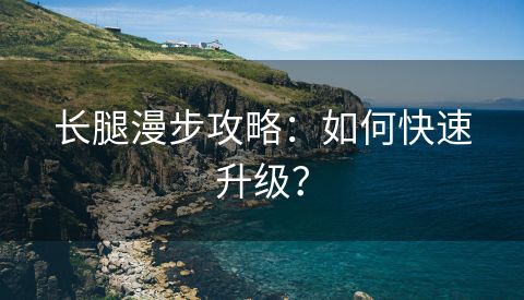 长腿漫步攻略：如何快速升级？