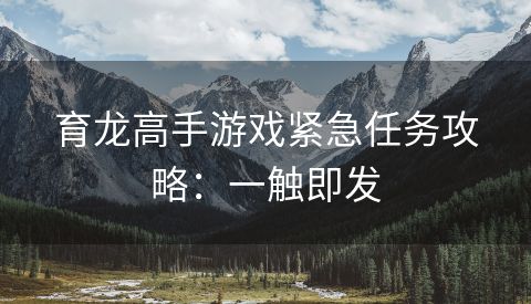育龙高手游戏紧急任务攻略：一触即发