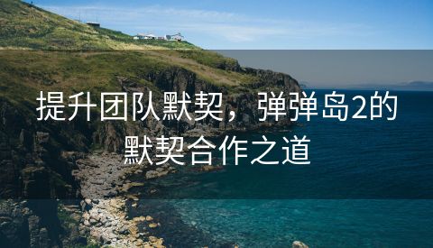 提升团队默契，弹弹岛2的默契合作之道