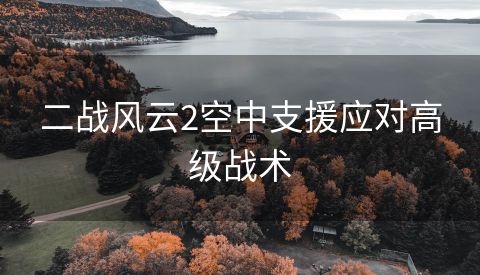 二战风云2空中支援应对高级战术