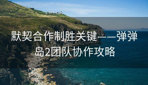默契合作制胜关键——弹弹岛2团队协作攻略