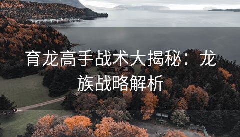 育龙高手战术大揭秘：龙族战略解析