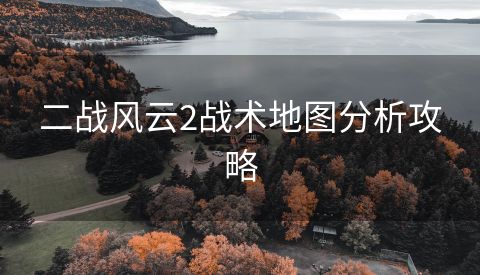 二战风云2战术地图分析攻略