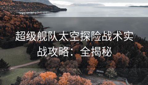 超级舰队太空探险战术实战攻略：全揭秘
