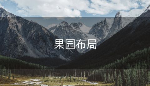 果园布局