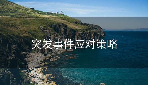 突发事件应对策略