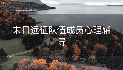 末日远征队伍成员心理辅导