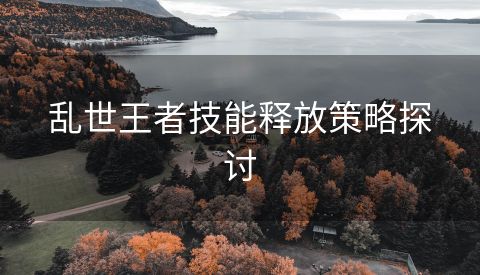 乱世王者技能释放策略探讨