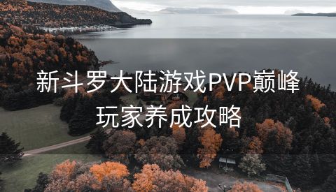 新斗罗大陆游戏PVP巅峰玩家养成攻略
